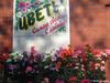 Цветы- пластиковые.. венков не видно (Тучково)
