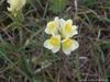 P9270149