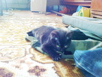 DSC00098