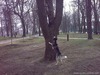 За белочкой полез