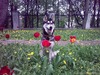 романтик )))