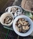 20190505_195307