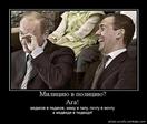 Педведь