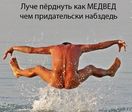 медвед