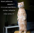 стихи с табуретки