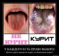 курит не курит