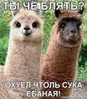 x_ac5b7624