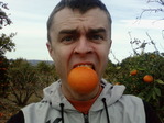 mandarin3