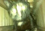 2012-03-27-009-1