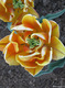 :flowers: