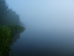 DSCF6479