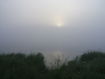DSCF6473
