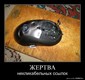 В бк опять лаги.