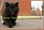 ))