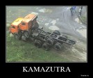 Камазы размножаются делением ?