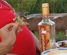 Рыбка+водка