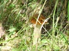 DSC03302