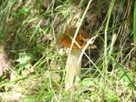 DSC03302