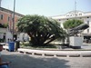 DSCF0529