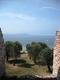 DSCF0590