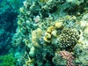 DSC03487