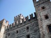 DSCF0595