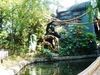 DSC02608