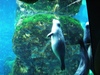 DSC00019