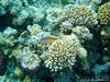 DSC03483