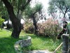 DSC02015