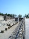 DSC02004