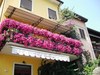 DSCF0601