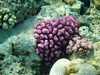 DSC03467