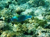 DSC03469