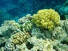 DSC03485