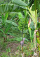 MG_2331 2.jpg