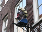 IMG_7731