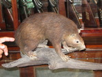 MG_2094.JPG