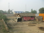 IMG_1424_resize