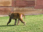 IMG_1551_resize