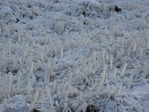 IMG_4989