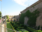 IMG_7266