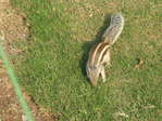 IMG_1585_resize
