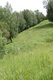 TN_DSC_0550