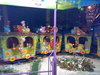 08082008510
