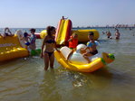 05082008469
