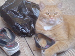 DSC00224.JPG