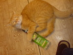 DSC00245