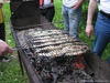 IMG_1290_resize