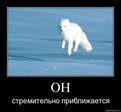 TJwNTs5f6WLSEzxPEiOSQoBNFSZBrNC4wXDKbfAwRjg